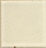 Beige White